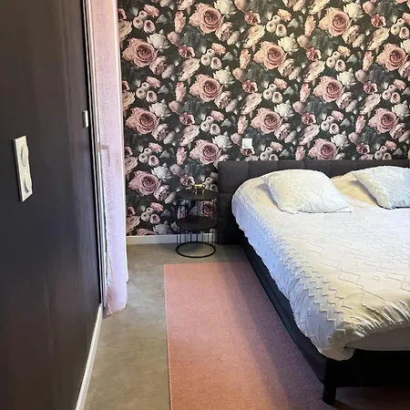 Maison 3 Bastelicaccia